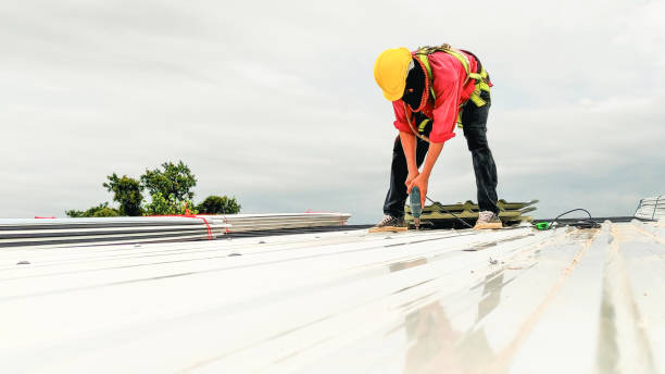 Best Asphalt Shingles Roofing  in Biscayne Park, FL