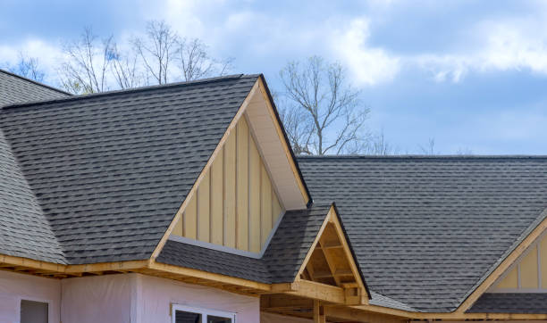 Best Steel Roofing  in Biscayne Park, FL